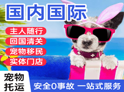 邯郸航空货运国际宠物托运 【国